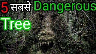 5Most Dangerous Trees पच सबस खतरनक पड In Hindi