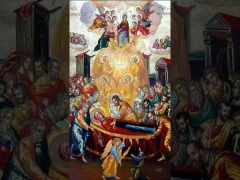 እንኳን አደረሳችሁ New Shorts Mix Duet Viralvideo Habesha Ethiopia Eritrian Usa Dubai Uae ተዋህዶ