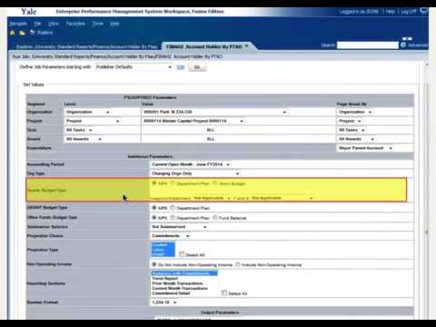 Data Warehouse Portal: Account Holder by PTAO Parameters