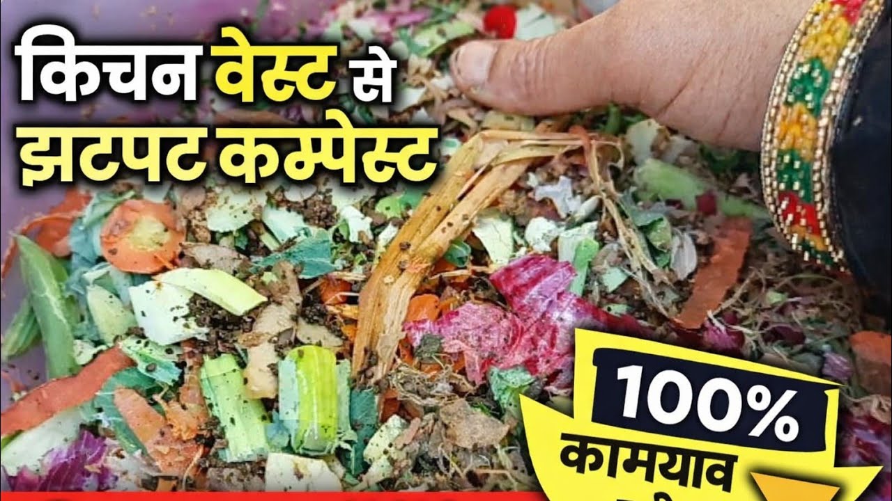 किचन के कचरे से बनाएं अपने पौधों के लिए ताकत वर खाद। Kitchen waste se khad kaise banaye 
