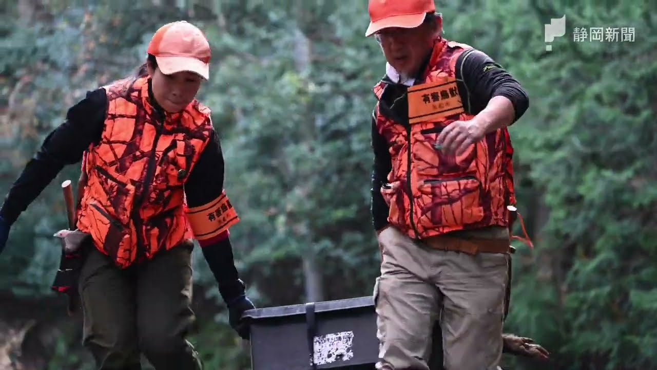 maxresdefault.jpg?sqp=-