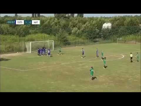 ლუკა გუგუჩია