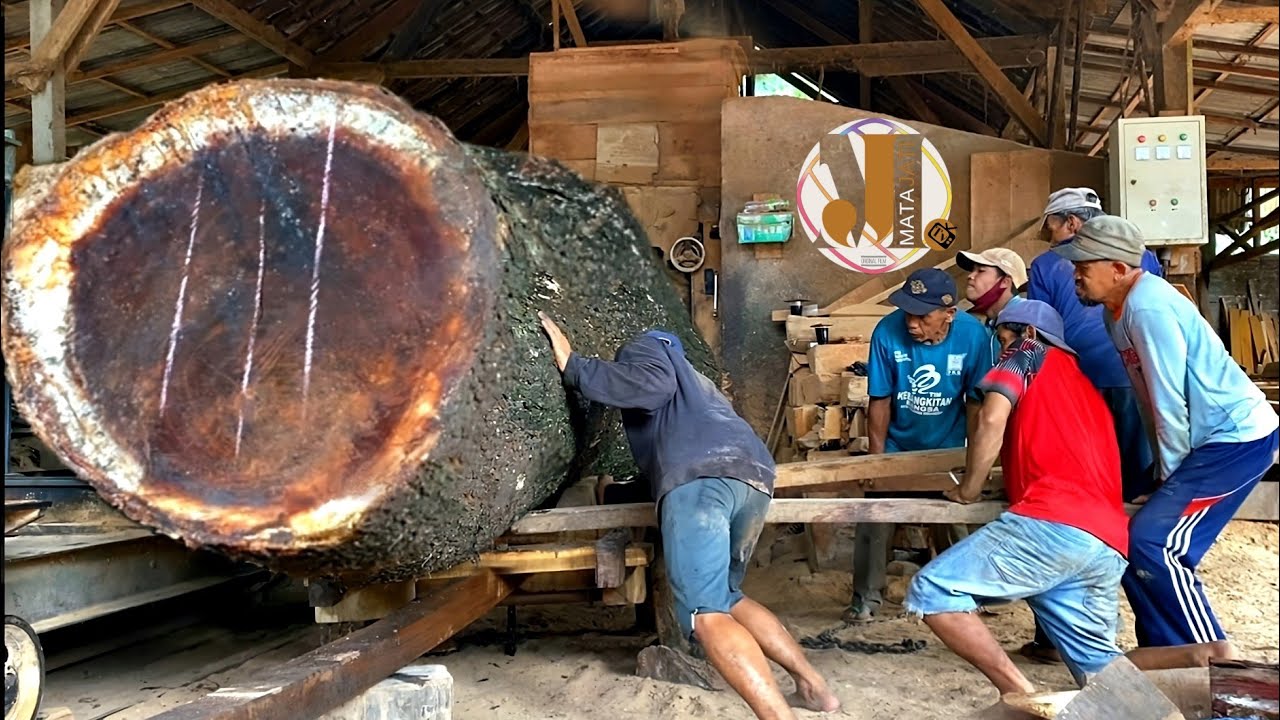 Trembesi Wood Monster: The Incredible, Giant, and Dangerous Wood That's Used to Make Carving Tables