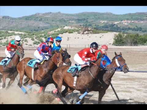 UHF Cavalos De Corrida UHF Cavalos De Corrida