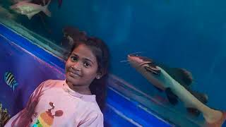 Guntur Guntagrounds Lo Under Water Fishes Exhibition