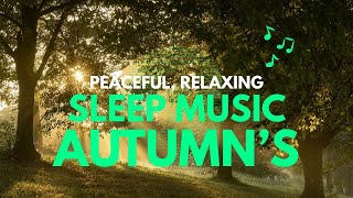 Autumn Relaxing Music with Rain By Zleep Zong Lullaby screenshot 5