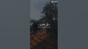 ماشاء الله تبارك الرحمن تلاوات خاشعة 🤍 وصوت جميل جدا 😍 أترك بصمة طيبة بعد الاستماع 👍