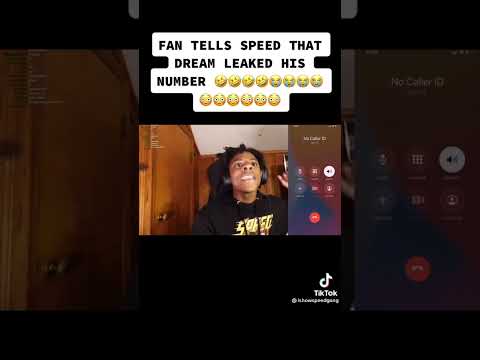 Dream.Wynter: The Leak That Defined A Generation