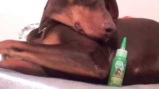 TropiClean Fresh Breath Clean Teeth Gel REVIEW