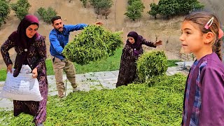 A Runaway Donkey &amp; A Warm Family Day 🐴🔥 | Daily Life of Salahadin’s Family