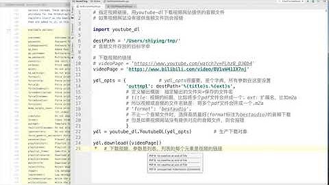 82 程序中使用youtube-dl以及设置format参数