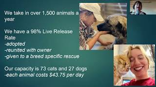 Animal Allies - UUCD Forums 4/6/25