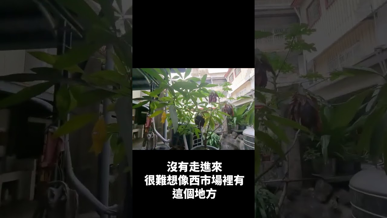 臺南西市場神秘水池探險 #臺南西市場 #旅行 縮圖