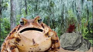 Mr.Frog Show Ultra-HD (Smiling Friends Short)