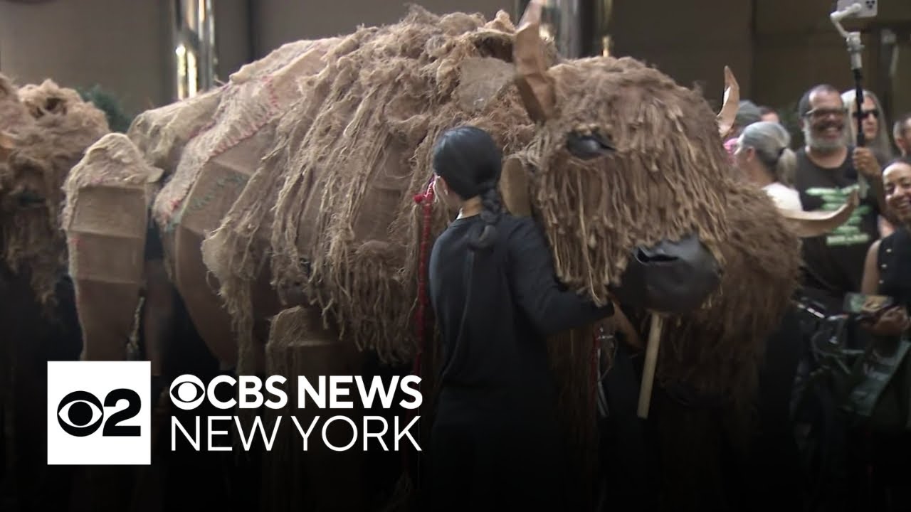 Life-sized buffalo puppets roam NYC streets
