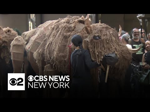 Life-sized buffalo puppets roam NYC streets
