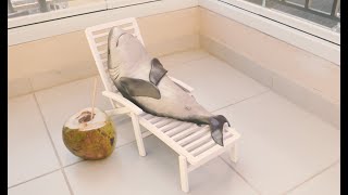 Relaxing Baby Shark
