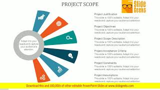 Project Scope Ppt Powerpoint Presentation Professional