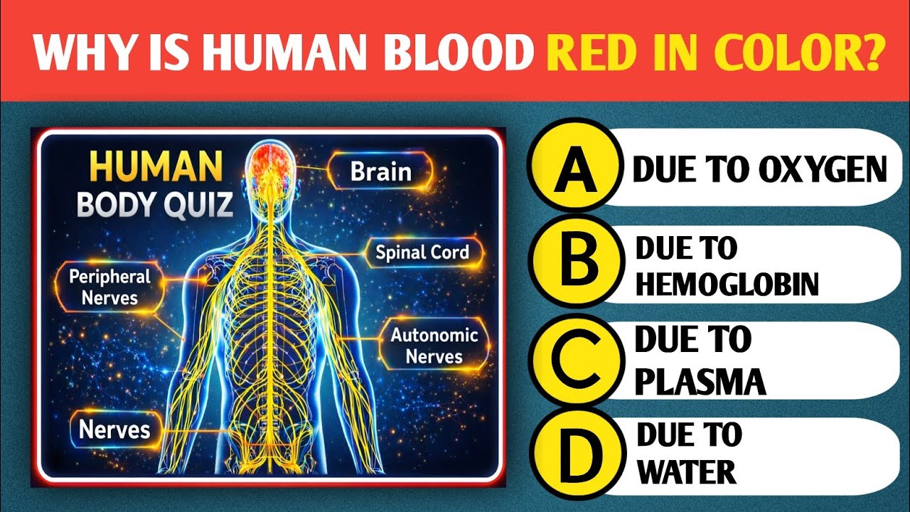 Part 1...Ultimate Human Body Quiz – 25 Questions to Test Your Knowledge!