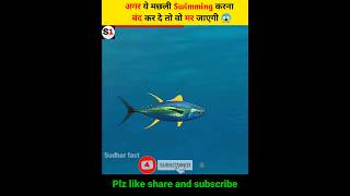 Famous why tuna fish can never stop swmming 😱 #shorts Net Worth