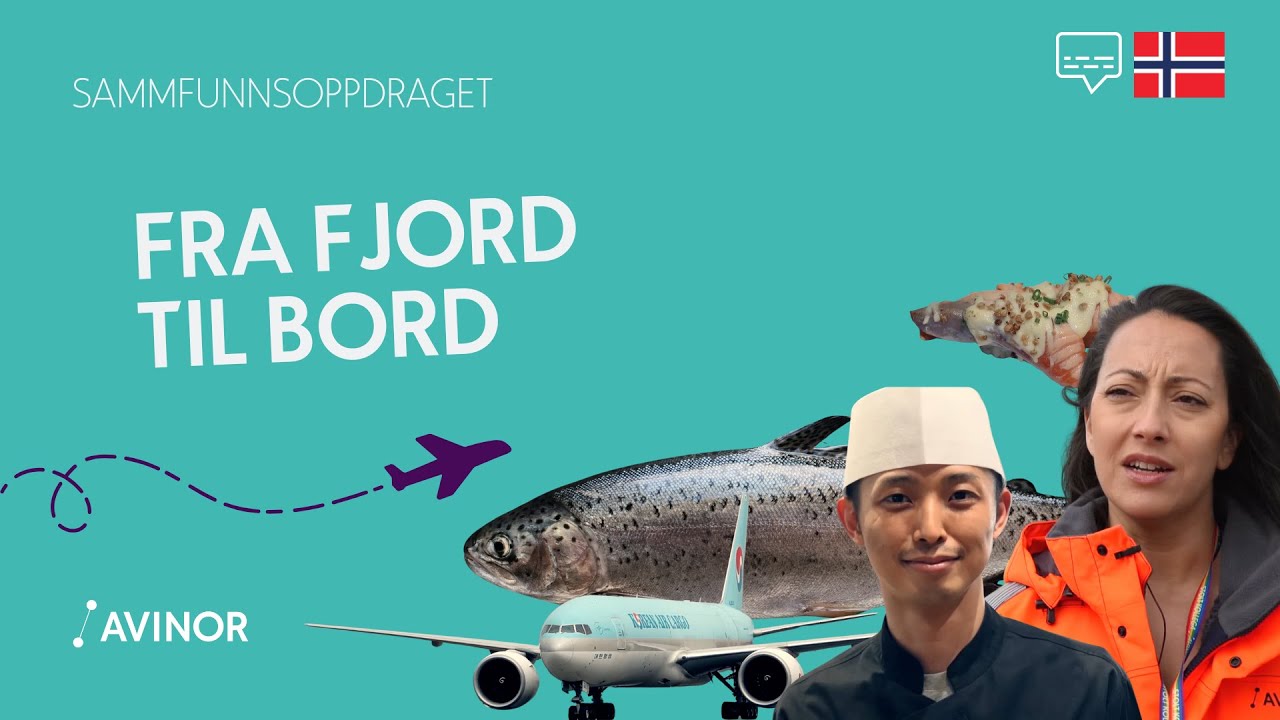 FRA FJORD TIL BORD - laksens reise fra Frøya til Seoul 🇳🇴✈️🇰🇷