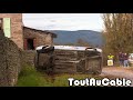 Best of Rallye Rally Crash & Mistakes 2021 by ToutAuCable