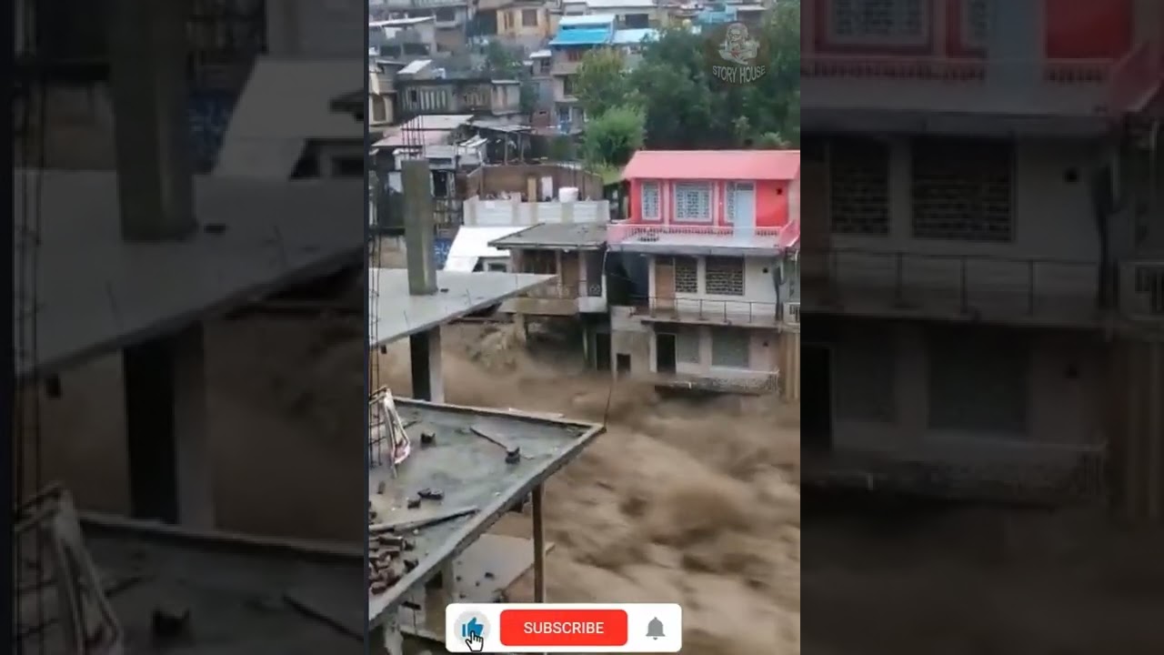 Swat flood |  Flood in Swat River | Flood 2022 | Flood  |  Deer | Info lab