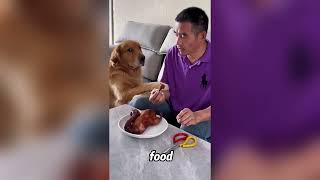 🥳Silly Pet Antics That Make You Laugh Hard,#animals #shorts