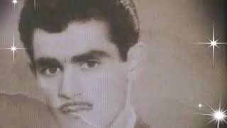 Deli Boran