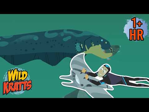 Electric Eel vs Piranhas | Wild Kratts | Scholastic International