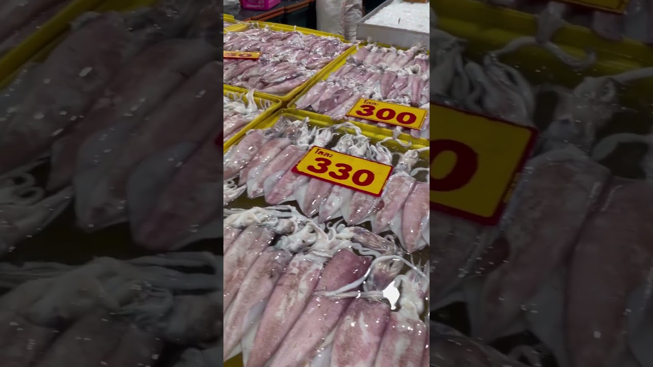 หมึกสดๆ มีให้เลือกทุกรูปแบบ ||ตลาดอาหารทะเลอ่างศิลา#ปลาหมึกสด