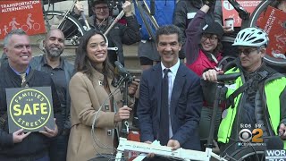 NYC Lawmakers Propose City Agencies For Pedestrians, Bikes
