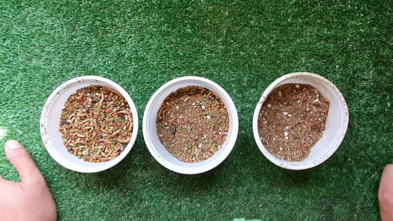 شلون تستفاد من الخلطه أو أي باتي بشكل كامل ؟