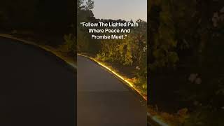 A gentle walk beneath vineyard lights—reminding us that even in the dusk, GOD’s path shines clear