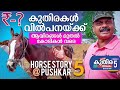 Horse Story @ Pushkar PART 5 കുതിരകൾ വില്പനയ്ക്ക്  PUSHKAR MELA 2019 @ RAJASTHAN HORSE PRICE RATES