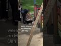 🐕 Dog training firm suspends staff who pushed, hit animals