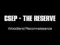 CSEP - The Reserve OST | FEEDBACK NEEDED