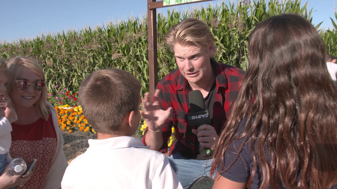 Man on the Street: Halloween