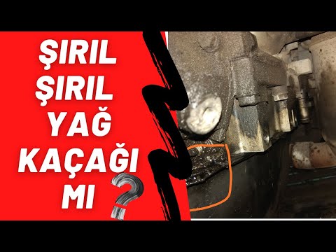 Video: Bir valf, contayı yağ sızdırabilir mi?