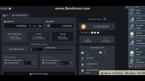 new bitsler bot 100% working from 0 00000300btc to 15 btc in 10min 2017 39