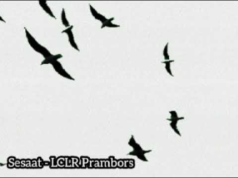 SESAAT - LCLR PRAMBORS