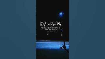 الشيخ خالد جليل سورة الكافرون