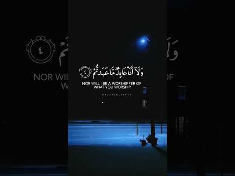 الشيخ خالد جليل سورة الكافرون