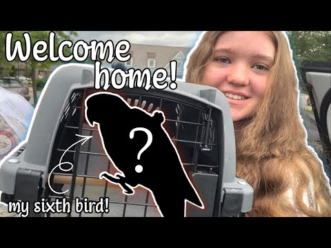 I GOT A NEW BIRD!!!! | Tips on bringing a new bird home!