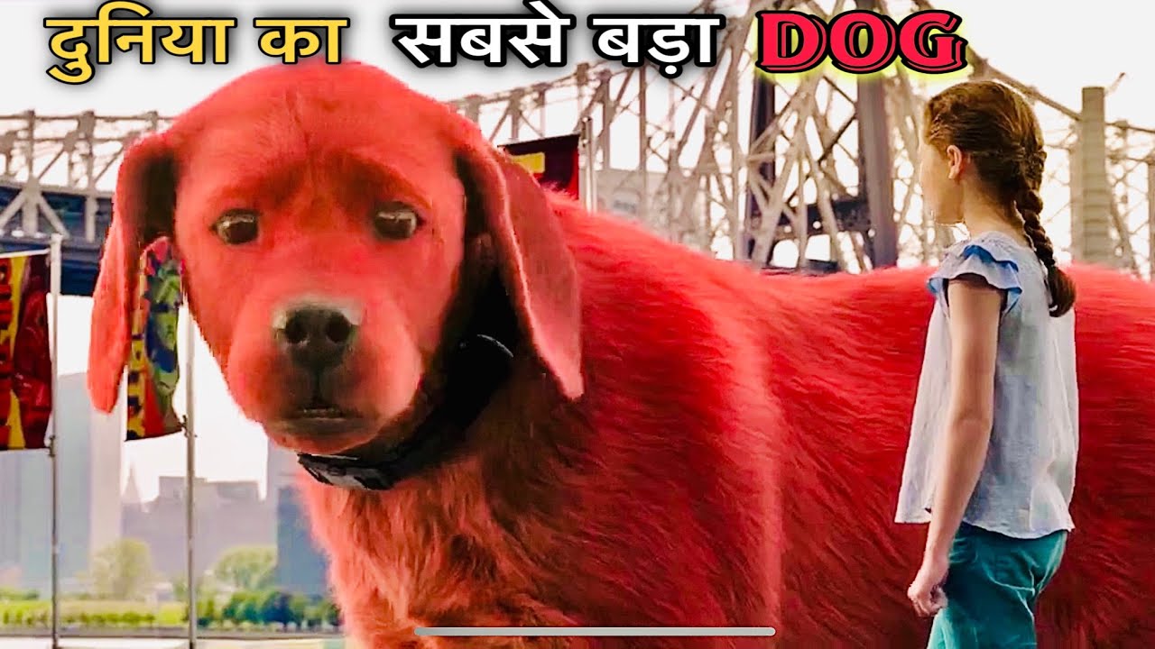 दुनिया का सबसे बड़ा DOG MOVIE EXPLAIN IN HINDI / Urdu - हिन्दी