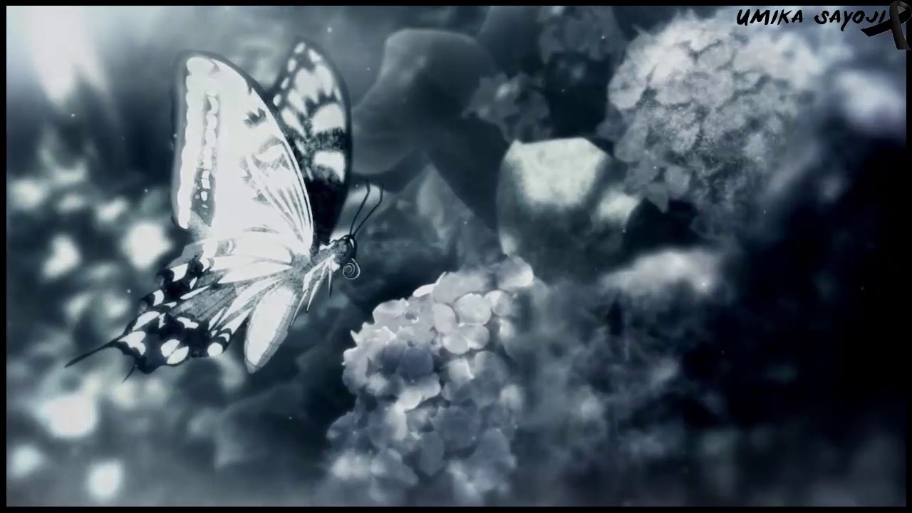 died 1 year ago... Memory about Umika