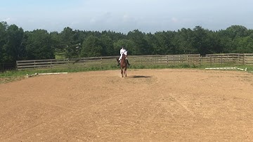 Kendal Duryea Riding Im Chillin- 2019 USDF Intro C Test