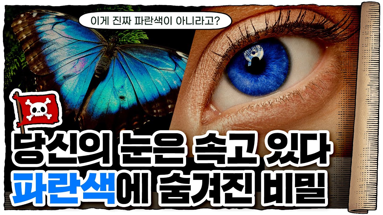 💀 지구상에서 가장 희귀한 색 🟦파란색! / 💀 파란색에 관한 간략한 역사