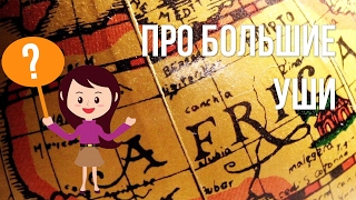 Загадка про огромное животное с хоботом и большими ушами для детей Загадка про огромное животное с хоботом и большими ушами для детей