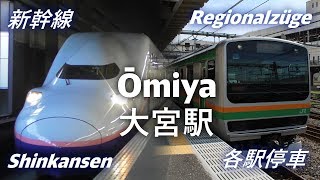 Trainspotting in Ōmiya (Japan) [ZnPgoes2🎌#3] (E231, E233; E2, E4, E5, E7 - Shinkansen)